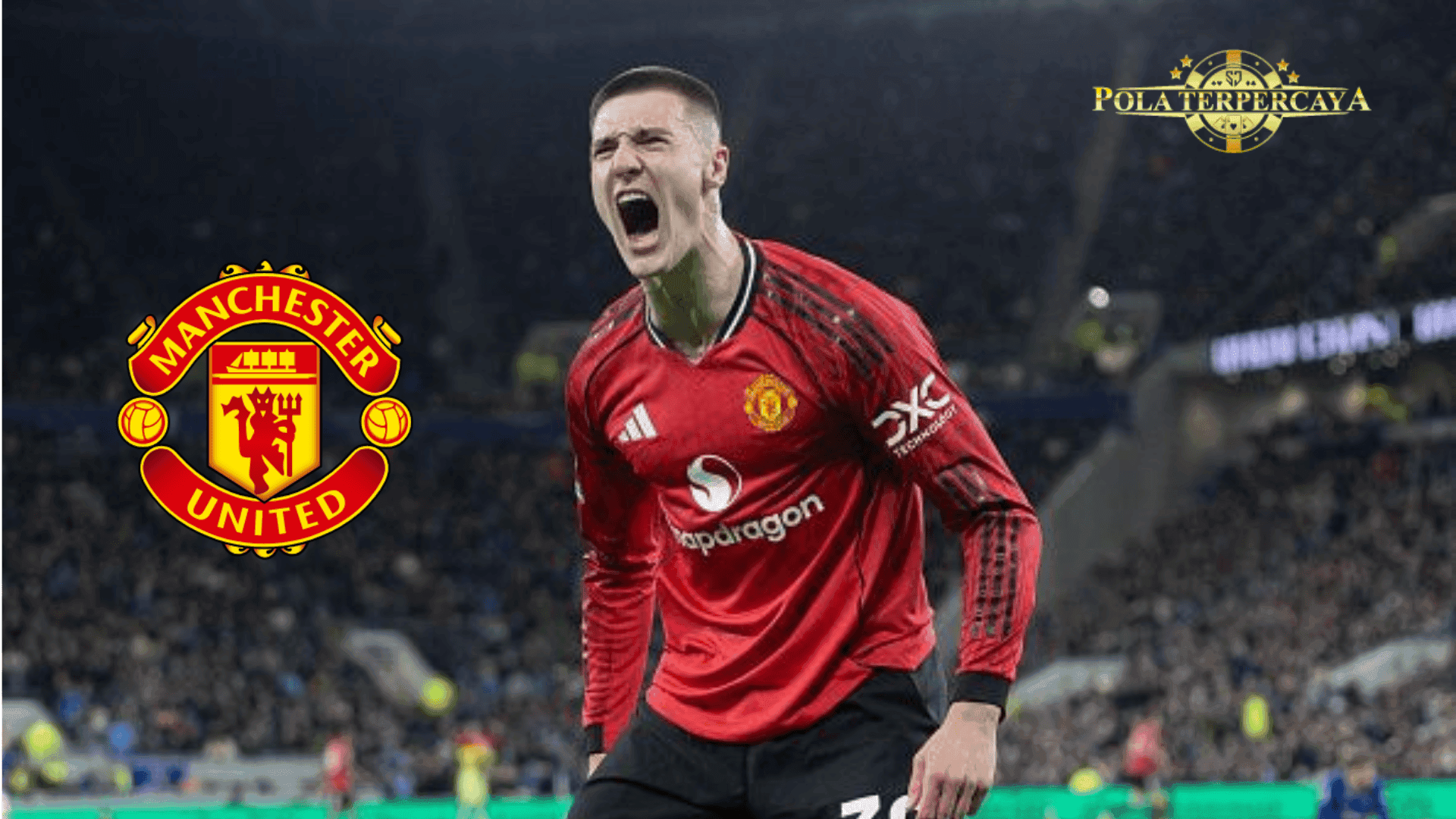 𝗠𝗨 𝗦𝗘𝗥𝗜𝗨𝗦 𝗠𝗘𝗡𝗚𝗔𝗠𝗕𝗜𝗟 𝗣𝗢𝗦𝗜𝗦𝗜 𝗣𝗘𝗥𝗧𝗔𝗠𝗔 𝗗𝗔𝗥𝗜 𝗔𝗥𝗦𝗘𝗡𝗔𝗟